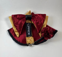 Burgundy & Gold Butterfly Bow Tie